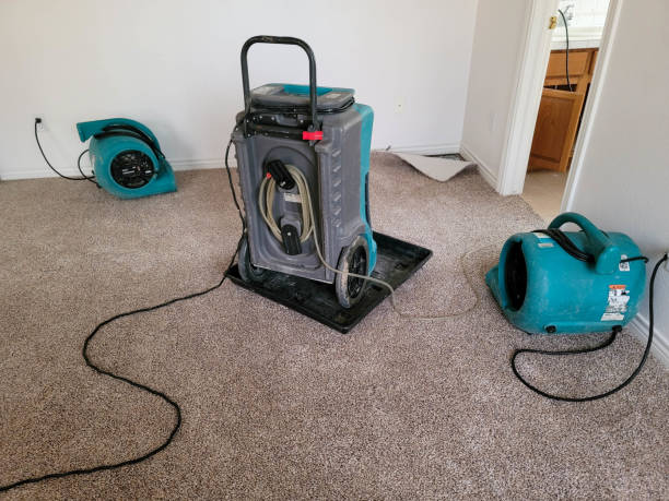 Best Flood damage cleanup  in Hoboken, NJ