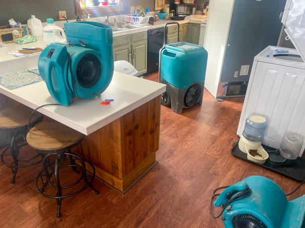 Best Ceiling water damage repair  in Hoboken, NJ