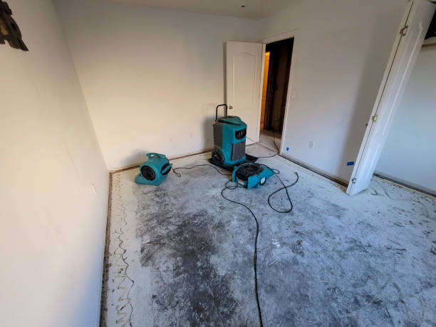 Best Residential water damage restoration  in Hoboken, NJ