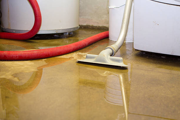 Best Water damage contractors near me  in Hoboken, NJ